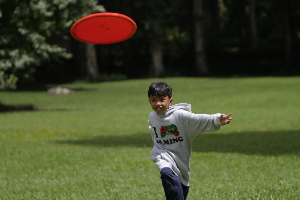 ムーンディスク - ポケット