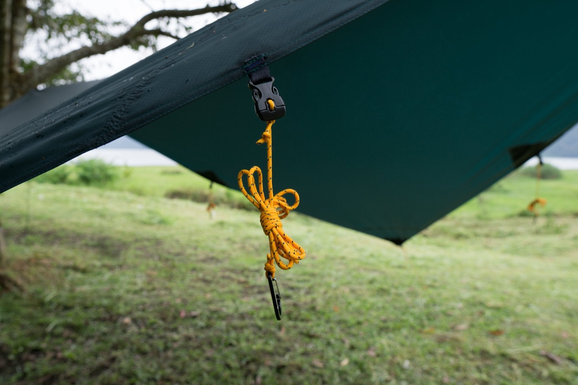 TARP - Moontarp