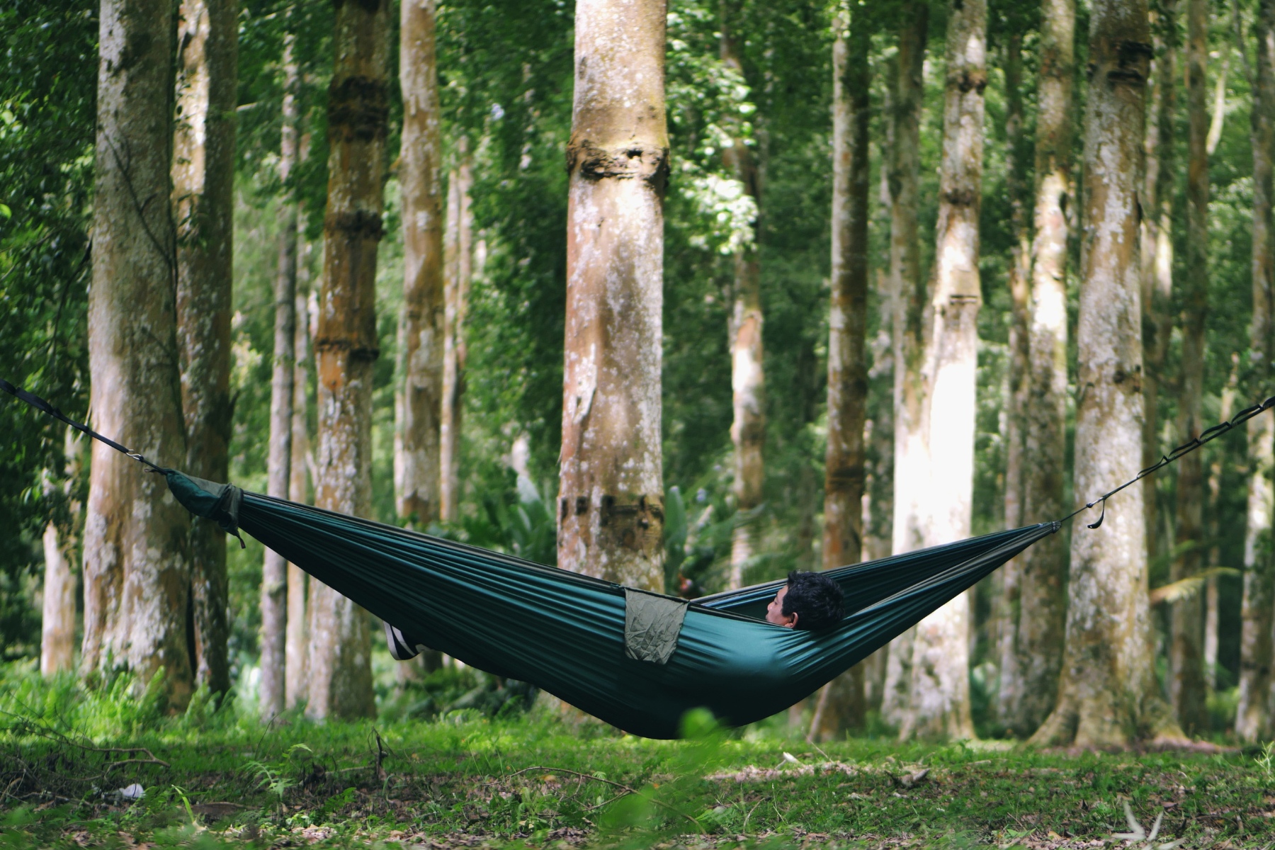 TRAVEL HAMMOCK - Original
