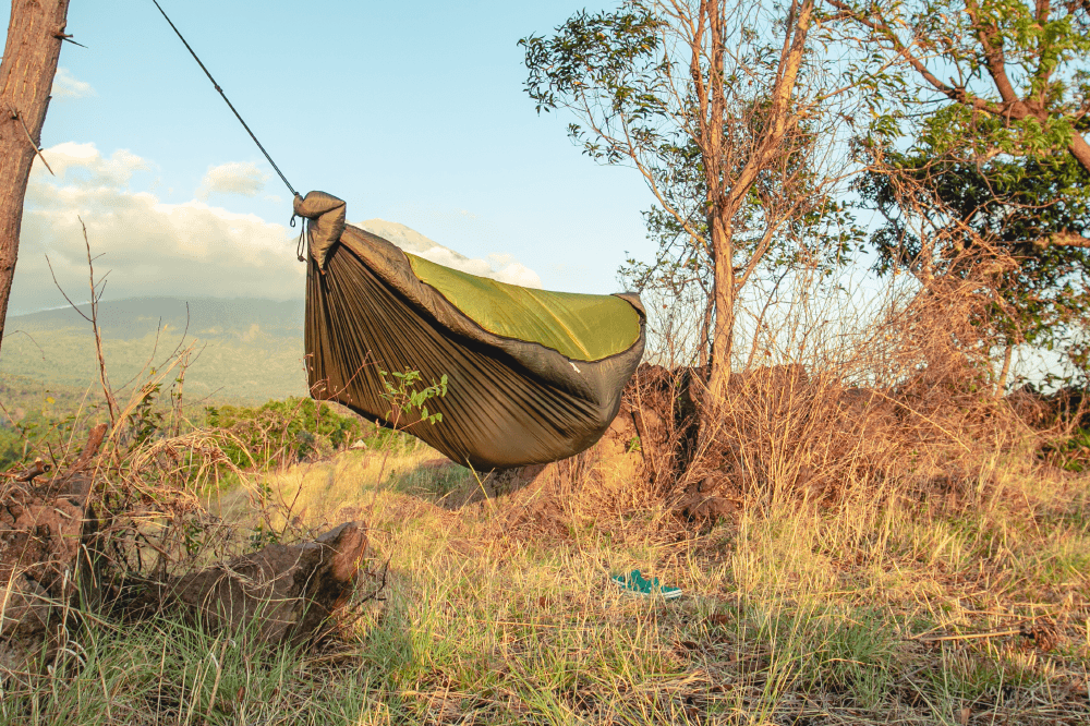 Pro Hammock - Ticket To The Moon